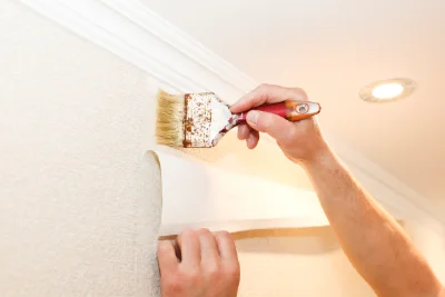 Pose de papier peint à Amuré — revêtements muraux et toiles de verre
